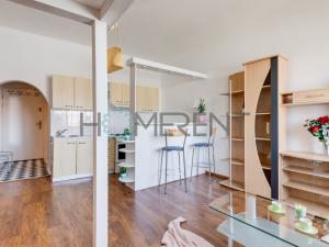 Pronájem bytu 1+kk, Praha - Nusle, Bartoškova, 30 m2