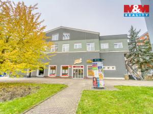 Pronájem bytu 2+1, Plzeň, Nepomucká, 55 m2