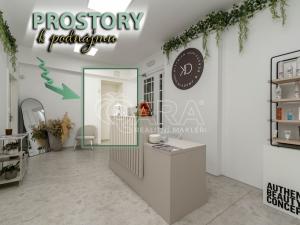 Pronájem komerční nemovitosti, Ostrava - Moravská Ostrava, Přívozská, 51 m2