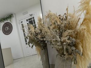 Pronájem komerční nemovitosti, Ostrava - Moravská Ostrava, Přívozská, 51 m2