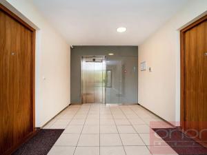 Pronájem bytu 3+1, Praha - Střešovice, U laboratoře, 124 m2