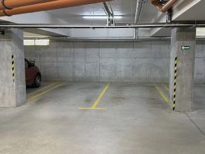 Pronájem garáže, Plzeň - Jižní Předměstí, Boettingerova, 11 m2