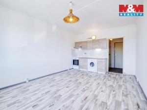 Pronájem bytu 1+kk, Horní Bříza, Sídlištní, 24 m2