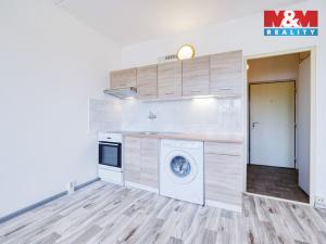 Pronájem bytu 1+kk, Horní Bříza, Sídlištní, 24 m2