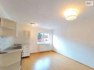 Pronájem bytu 1+1, Příbram - Příbram VI-Březové Hory, Mariánská, 38 m2