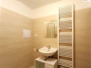 Pronájem bytu 1+1, Příbram - Příbram VI-Březové Hory, Mariánská, 38 m2