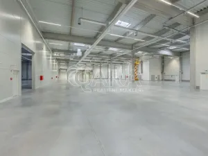 Pronájem skladu, Divišov, 2922 m2