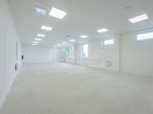 Pronájem skladu, Divišov, 2704 m2