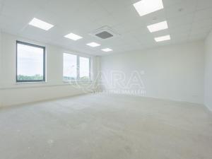 Pronájem skladu, Divišov, 2704 m2