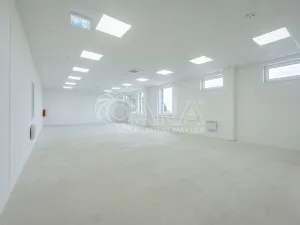 Pronájem skladu, Divišov, 2704 m2