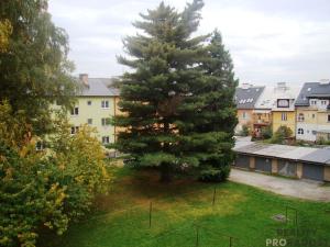 Pronájem bytu 2+1, Šumperk, Zborovská, 52 m2