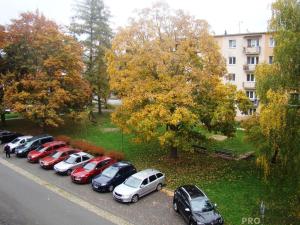 Pronájem bytu 2+1, Šumperk, Zborovská, 52 m2