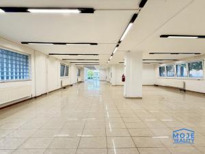 Pronájem obchodního prostoru, Blatná, 464 m2