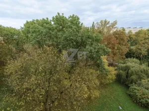 Prodej bytu 3+1, Karviná - Hranice, Divišova, 76 m2