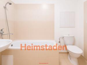 Pronájem bytu 1+1, Karviná - Hranice, Einsteinova, 33 m2