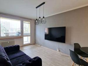 Pronájem bytu 2+kk, Litoměřice - Předměstí, Smetanova, 42 m2