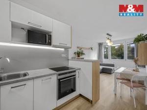 Prodej bytu 2+kk, Praha - Nusle, Plamínkové, 40 m2