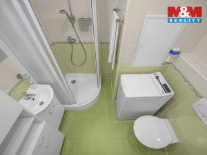 Prodej bytu 2+kk, Praha - Nusle, Plamínkové, 40 m2