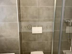 Pronájem bytu 1+kk, Zlín, třída Tomáše Bati, 25 m2