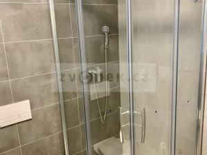 Pronájem bytu 1+kk, Zlín, třída Tomáše Bati, 25 m2