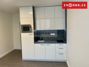 Pronájem bytu 1+kk, Zlín, třída Tomáše Bati, 25 m2
