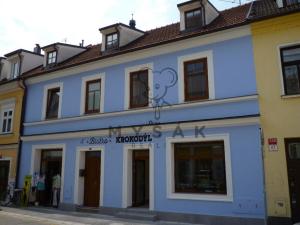 Pronájem bytu 1+kk, České Budějovice - České Budějovice 1, Kněžská, 35 m2