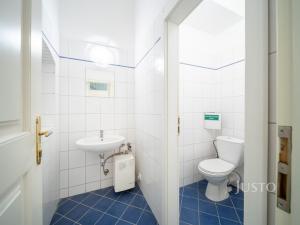 Prodej obchodního prostoru, České Budějovice - České Budějovice 1, nám. Přemysla Otakara II., 301 m2