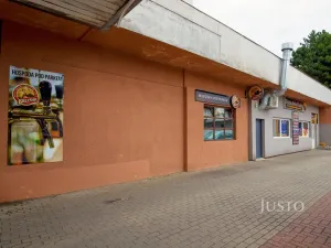 Prodej obchodního prostoru, Ústí nad Labem, Pod Parkem, 82 m2