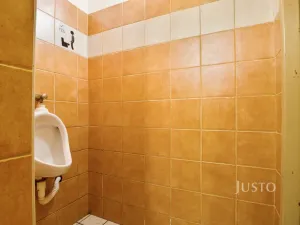 Prodej restaurace, Ústí nad Labem, Pod Parkem, 82 m2