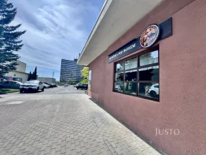Prodej restaurace, Ústí nad Labem, Pod Parkem, 82 m2
