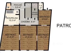 Prodej rodinného domu, Písek, Kocínova, 300 m2