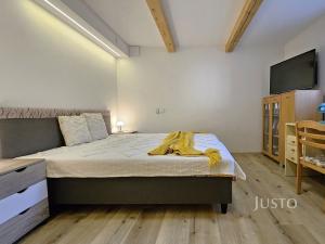 Prodej rodinného domu, Písek, Nová, 276 m2