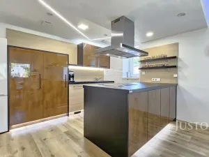 Prodej rodinného domu, Písek, Nová, 276 m2