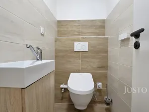 Prodej rodinného domu, Písek, Nová, 276 m2