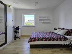 Prodej rodinného domu, Písek, Nová, 276 m2