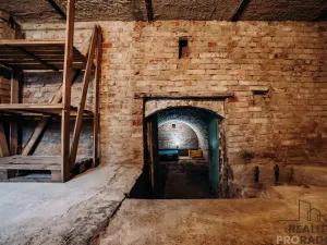 Prodej vinného sklepa, Mikulčice, 65 m2