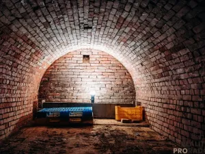 Prodej vinného sklepa, Mikulčice, 65 m2