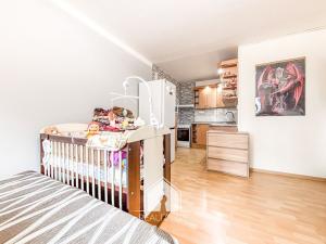 Prodej bytu 2+kk, Litoměřice, Nezvalova, 41 m2