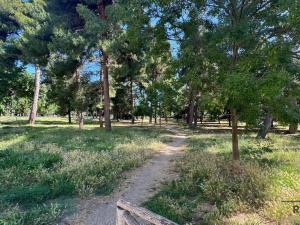 Prodej bytu 2+kk, Montesilvano,Itálie, 36 m2