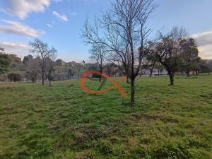 Prodej pozemku pro bydlení, Ostrata, 6187 m2