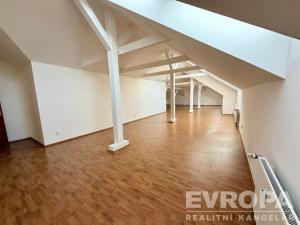 Prodej bytu 5+1, Frýdlant nad Ostravicí, Školní, 222 m2