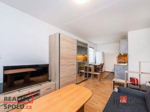 Prodej bytu 1+1, Slaný, Gagarinova, 41 m2