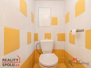 Prodej bytu 1+1, Slaný, Gagarinova, 41 m2