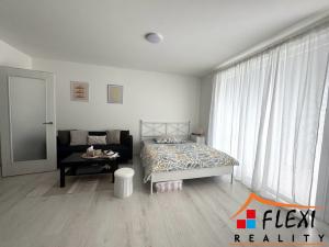 Pronájem bytu 1+kk, Ostrava, F. X. Riepla, 40 m2