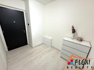 Pronájem bytu 1+kk, Ostrava, F. X. Riepla, 40 m2