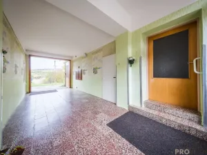 Prodej vícegeneračního domu, Klobouky u Brna - Bohumilice, 420 m2