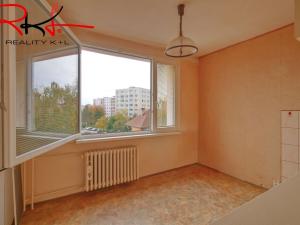 Prodej bytu 2+1, Roudnice nad Labem, Alej 17. listopadu, 55 m2