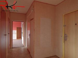 Prodej bytu 2+1, Roudnice nad Labem, Alej 17. listopadu, 55 m2