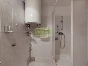 Prodej bytu 2+1, Teplice, Americká, 53 m2