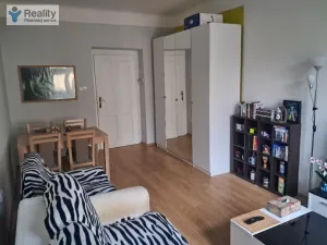 Prodej bytu 2+1, Plzeň - Jižní Předměstí, Vrchlického, 53 m2